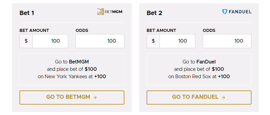 Example Matched Betting result showing both outcomes covered